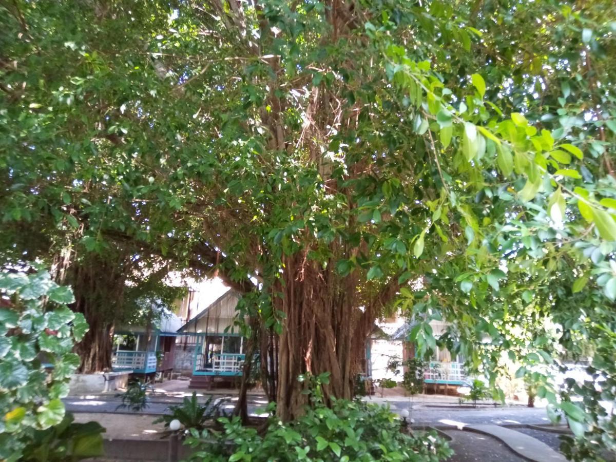 Blu' Beach Bungalows Lamai Beach  ภายนอก รูปภาพ