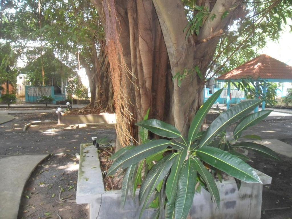 Blu' Beach Bungalows Lamai Beach  ภายนอก รูปภาพ