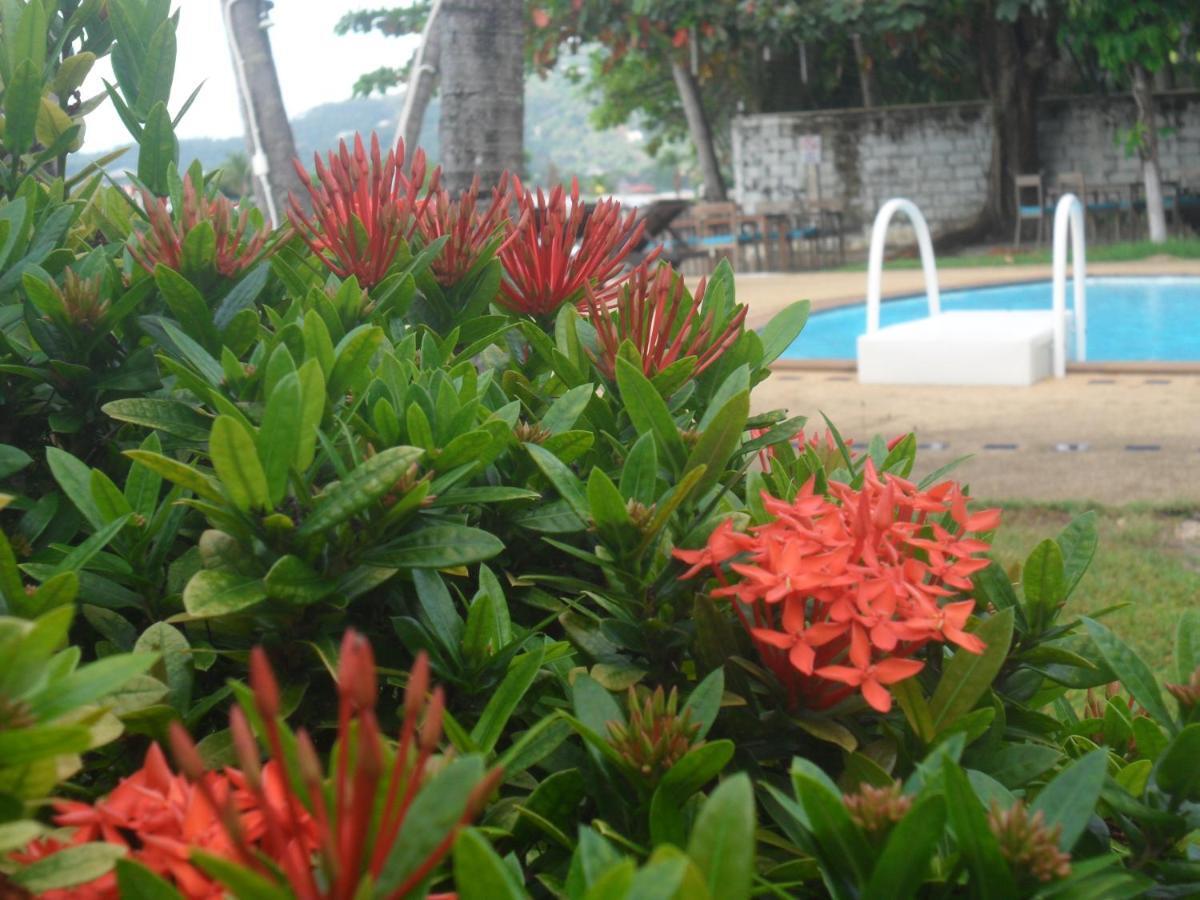 Blu' Beach Bungalows Lamai Beach  ภายนอก รูปภาพ